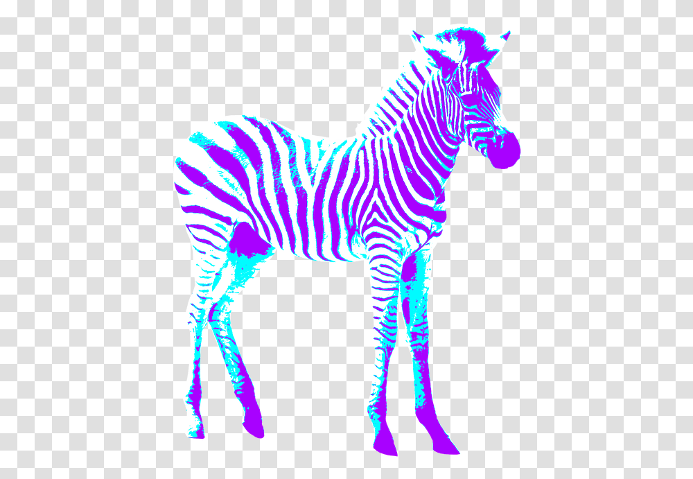 Zebra Colorful Art Zebra, Wildlife, Mammal, Animal, Horse Transparent Png