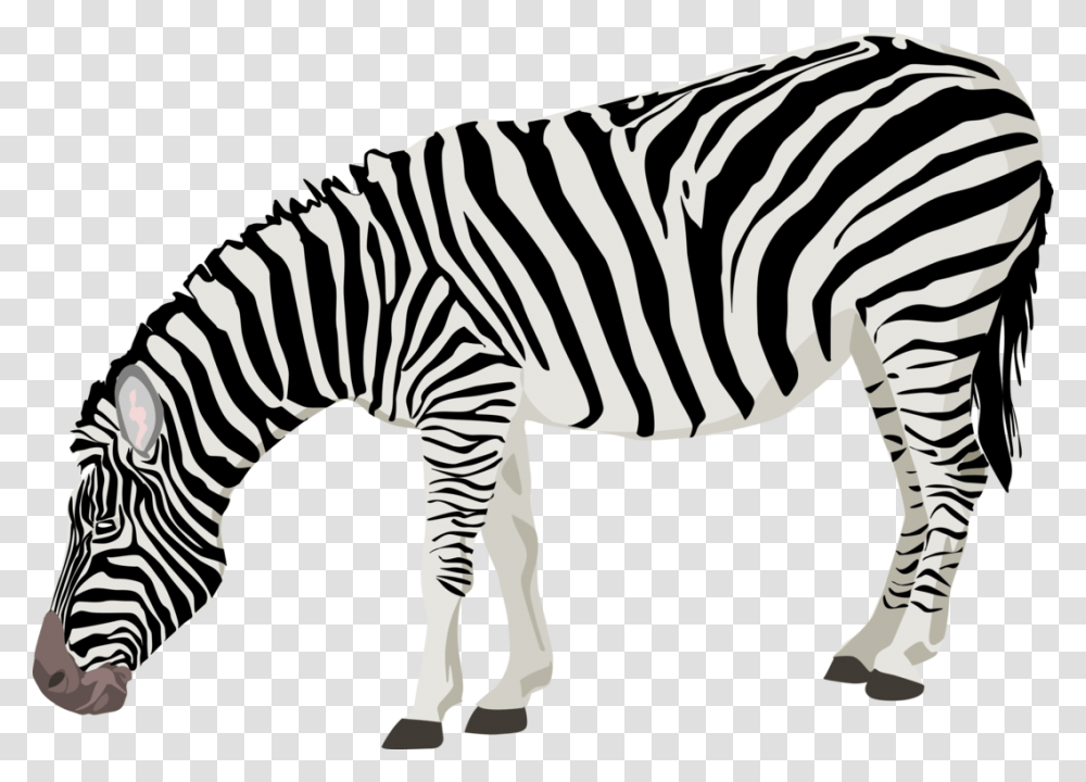 Zebra Download Image Resolution Display Resolution, Wildlife, Mammal, Animal, Circus Transparent Png
