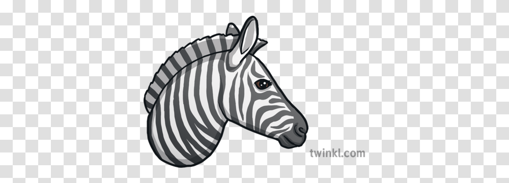 Zebra Emoji Animals Nature Twinkl Zebra Print, Wildlife, Mammal Transparent Png