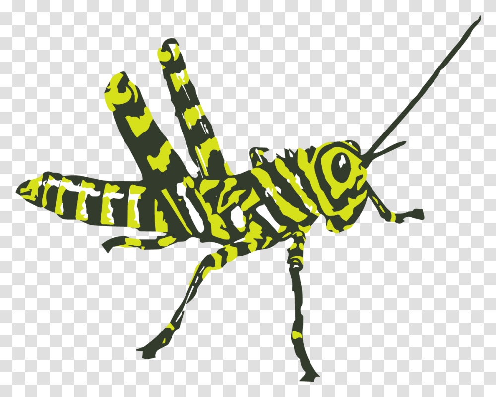 Zebra Food4rhino Bee, Insect, Invertebrate, Animal, Dinosaur Transparent Png