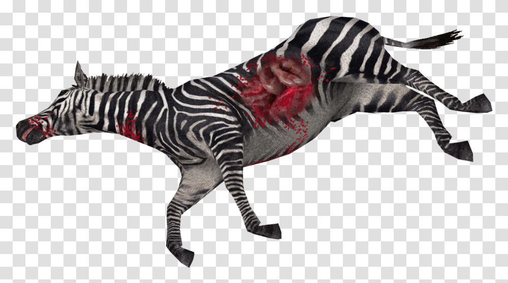 Zebra High Dead Animal Clipart, Wildlife, Mammal, Dinosaur, Reptile Transparent Png