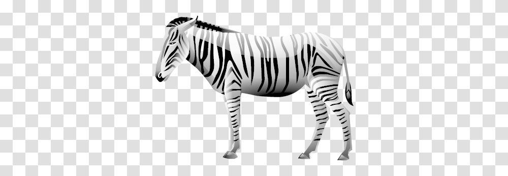 Zebra Image Animal Icons, Wildlife, Mammal Transparent Png