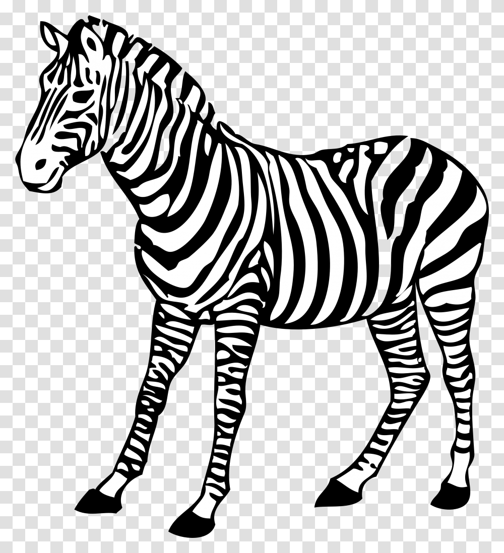 Zebra Images Free Download Zebra Black And White, Wildlife, Mammal, Animal, Stencil Transparent Png