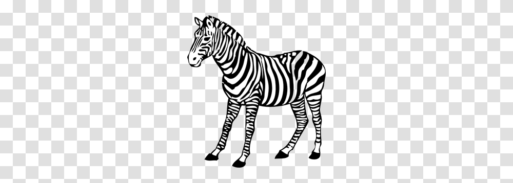 Zebra Images Icon Cliparts, Wildlife, Mammal, Animal, Road Transparent Png