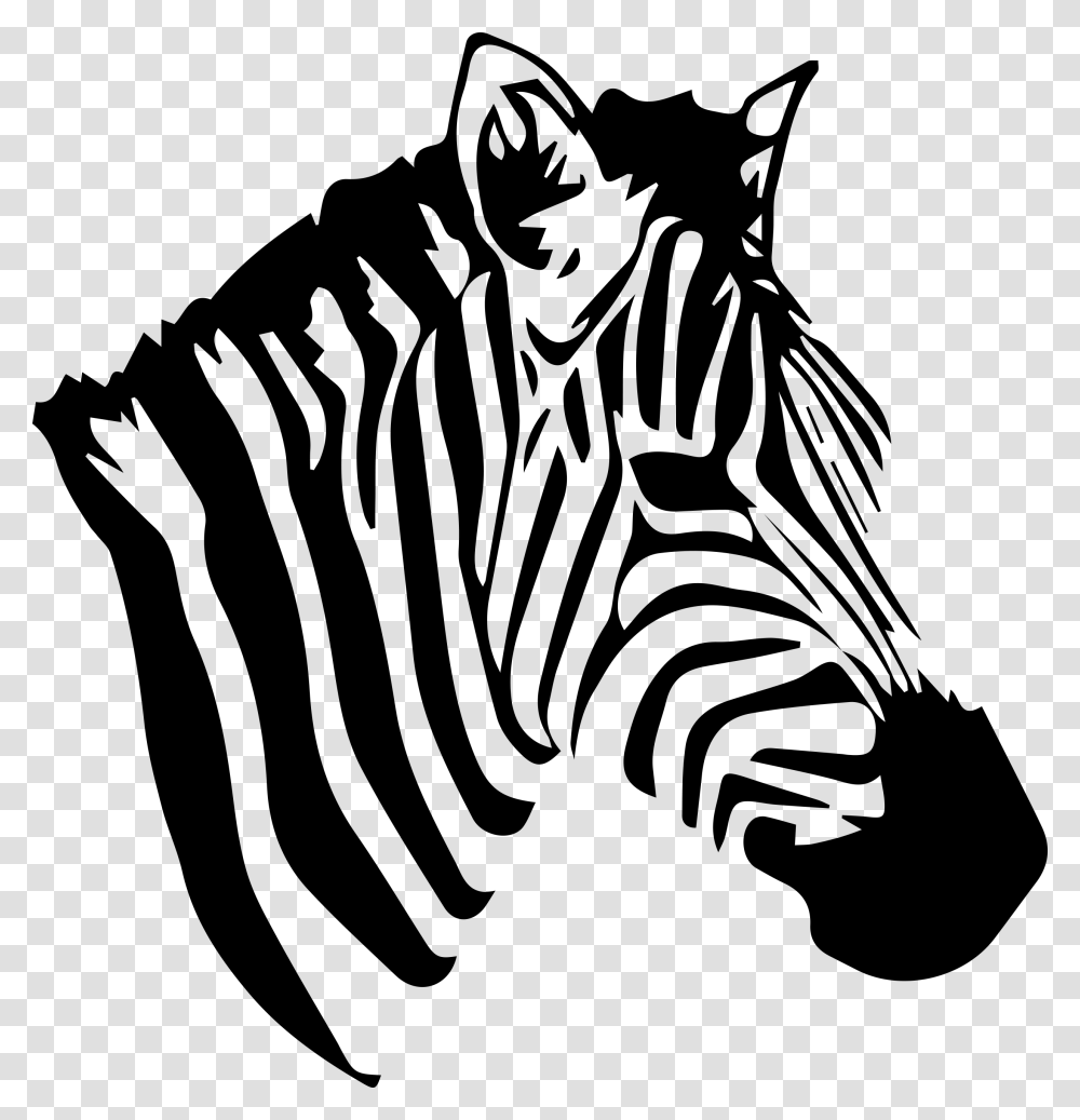 Zebra Images, Logo, Trademark Transparent Png