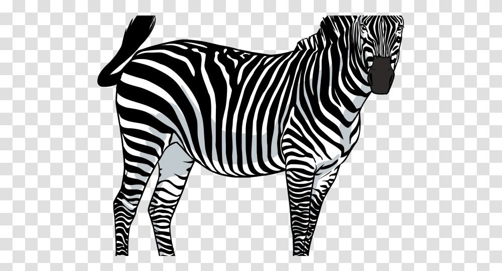 Zebra Images Zebra, Wildlife, Mammal, Animal Transparent Png