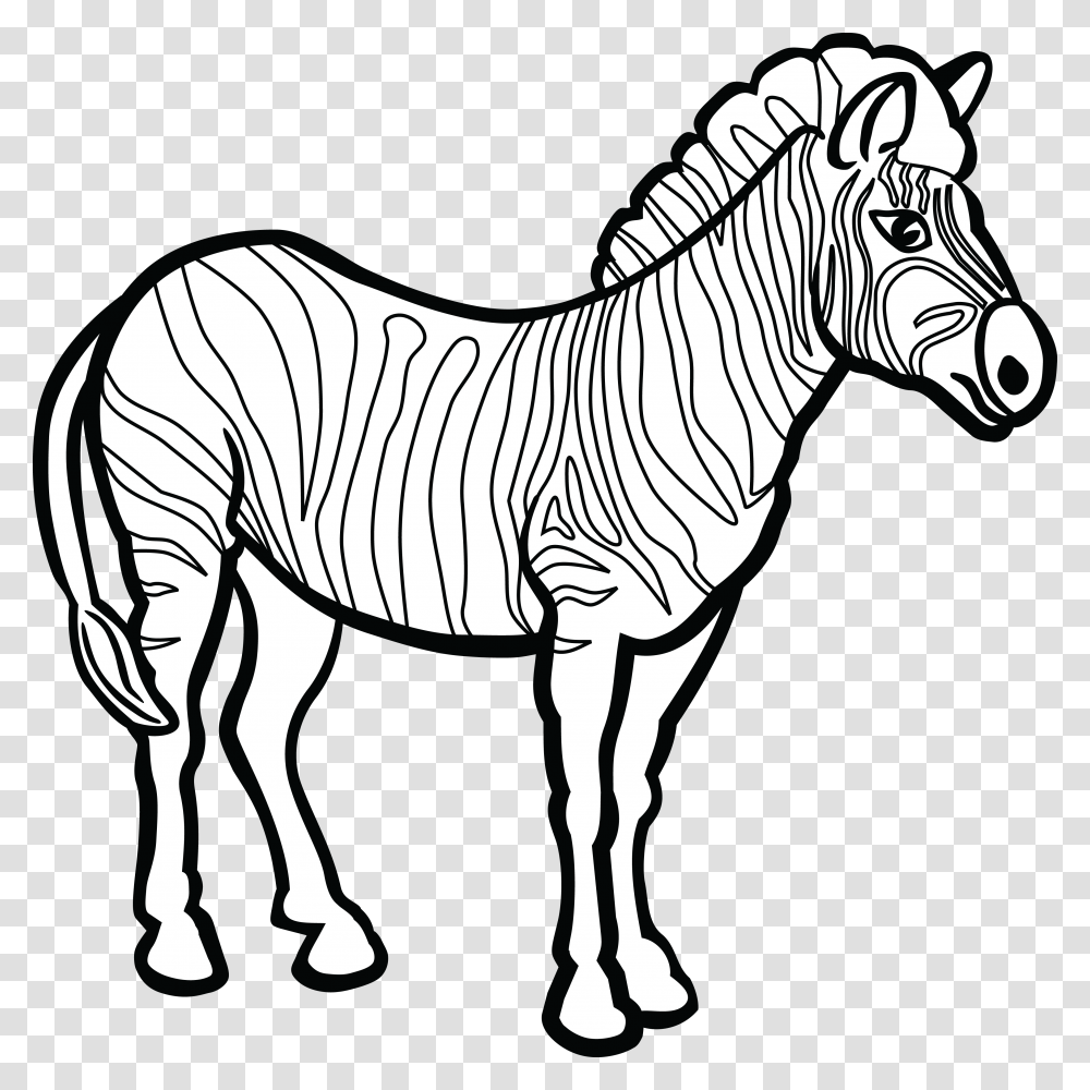Zebra Line Art Download Zebra Clipart Black And White, Mammal, Animal, Wildlife, Horse Transparent Png