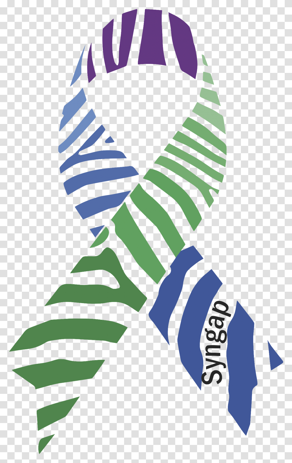 Zebra Ribbon Vector Download, Tie, Accessories, Accessory Transparent Png