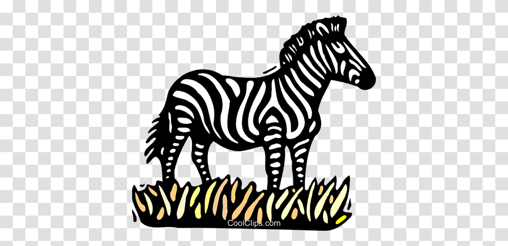 Zebra Royalty Free Vector Clip Art Illustration, Wildlife, Mammal, Animal, Stencil Transparent Png