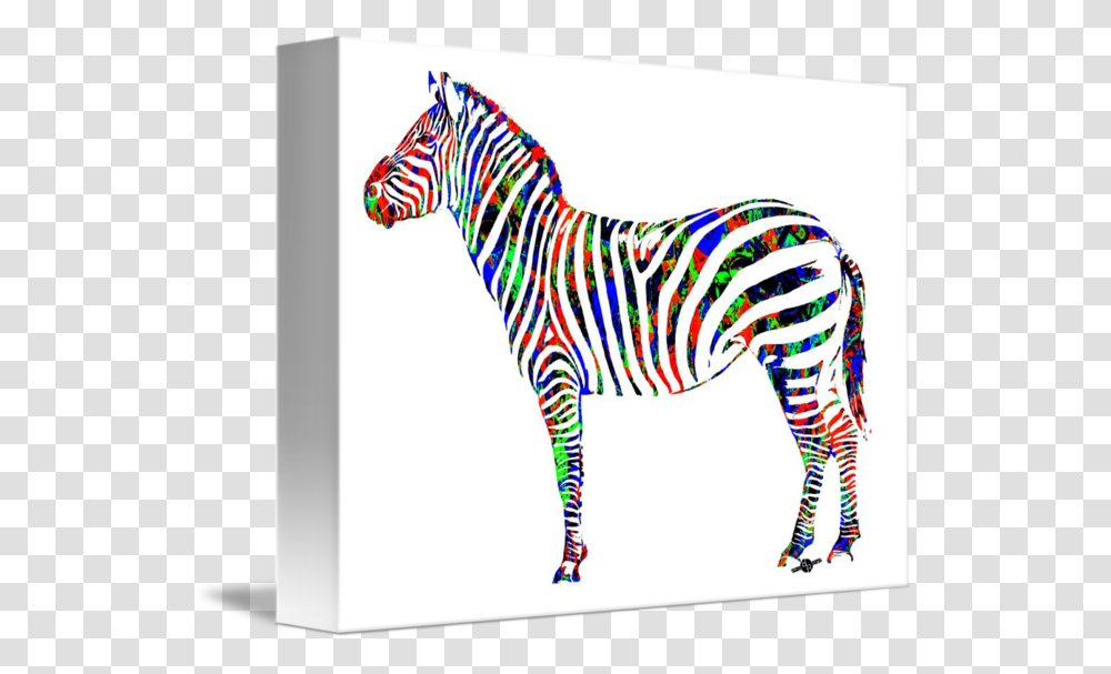 Zebra Study, Wildlife, Mammal, Animal, Giraffe Transparent Png