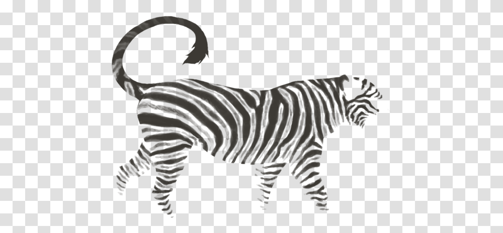 Zebra, Tiger, Wildlife, Mammal, Animal Transparent Png