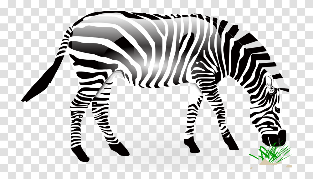 Zebra, Wildlife, Mammal, Animal Transparent Png