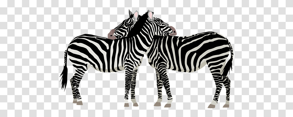 Zebras Nature, Wildlife, Mammal, Animal Transparent Png
