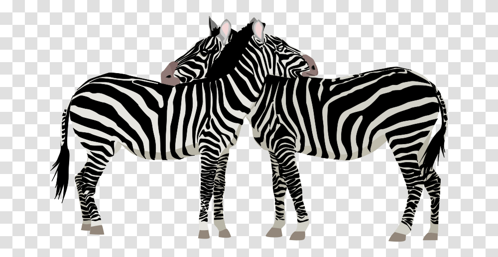 Zebras, Nature, Wildlife, Mammal, Animal Transparent Png