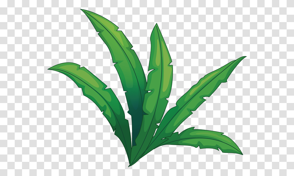 Zebugraphant, Plant, Leaf, Weed, Hemp Transparent Png