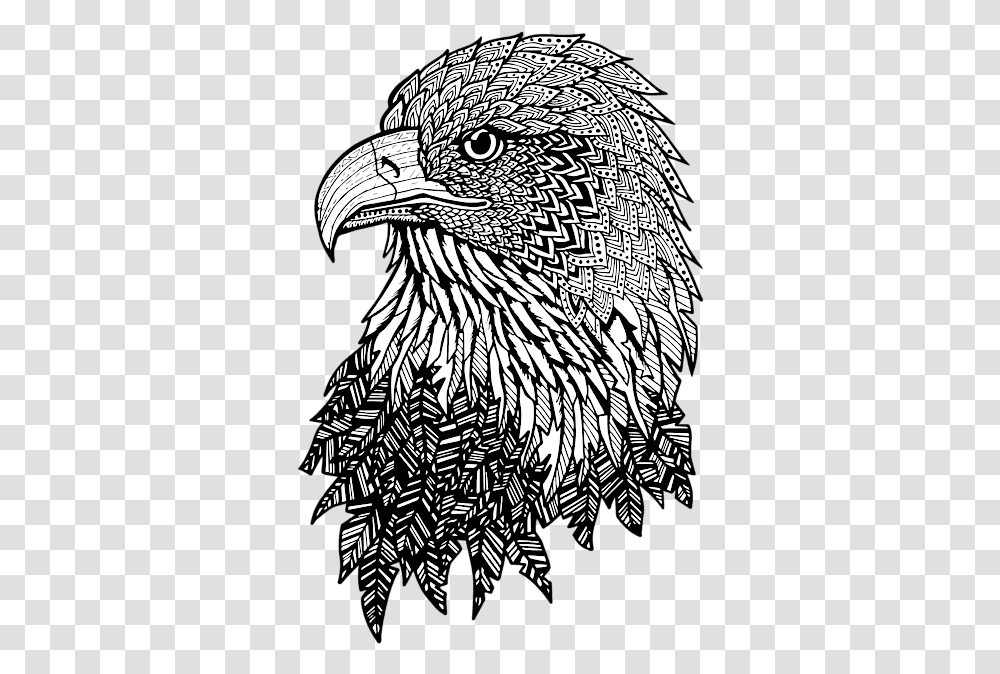 Zentangle Eagle, Beak, Bird, Animal, Vulture Transparent Png