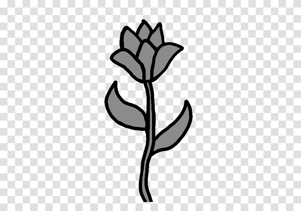 Zepharie, Plant, Flower, Tree, Rose Transparent Png