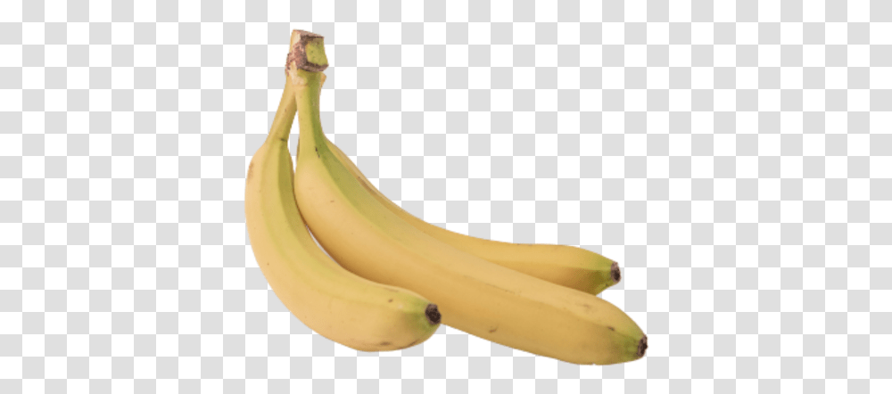 Zero Saba Banana, Fruit, Plant, Food Transparent Png