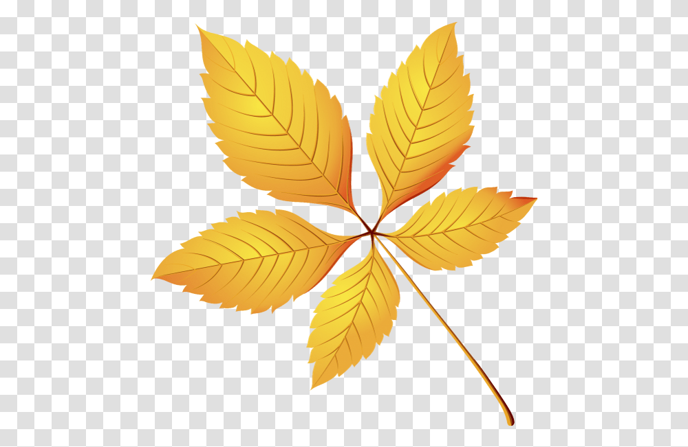 Zheltij List Osennyaya Listva Osen Yellow Leaf Autumn Chestnut Clipart Leaves, Plant, Pattern Transparent Png