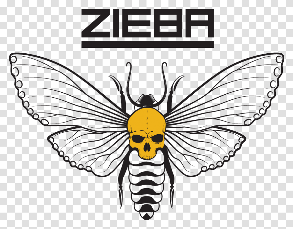 Zieba 2020 Illustration, Wasp, Bee, Insect, Invertebrate Transparent Png