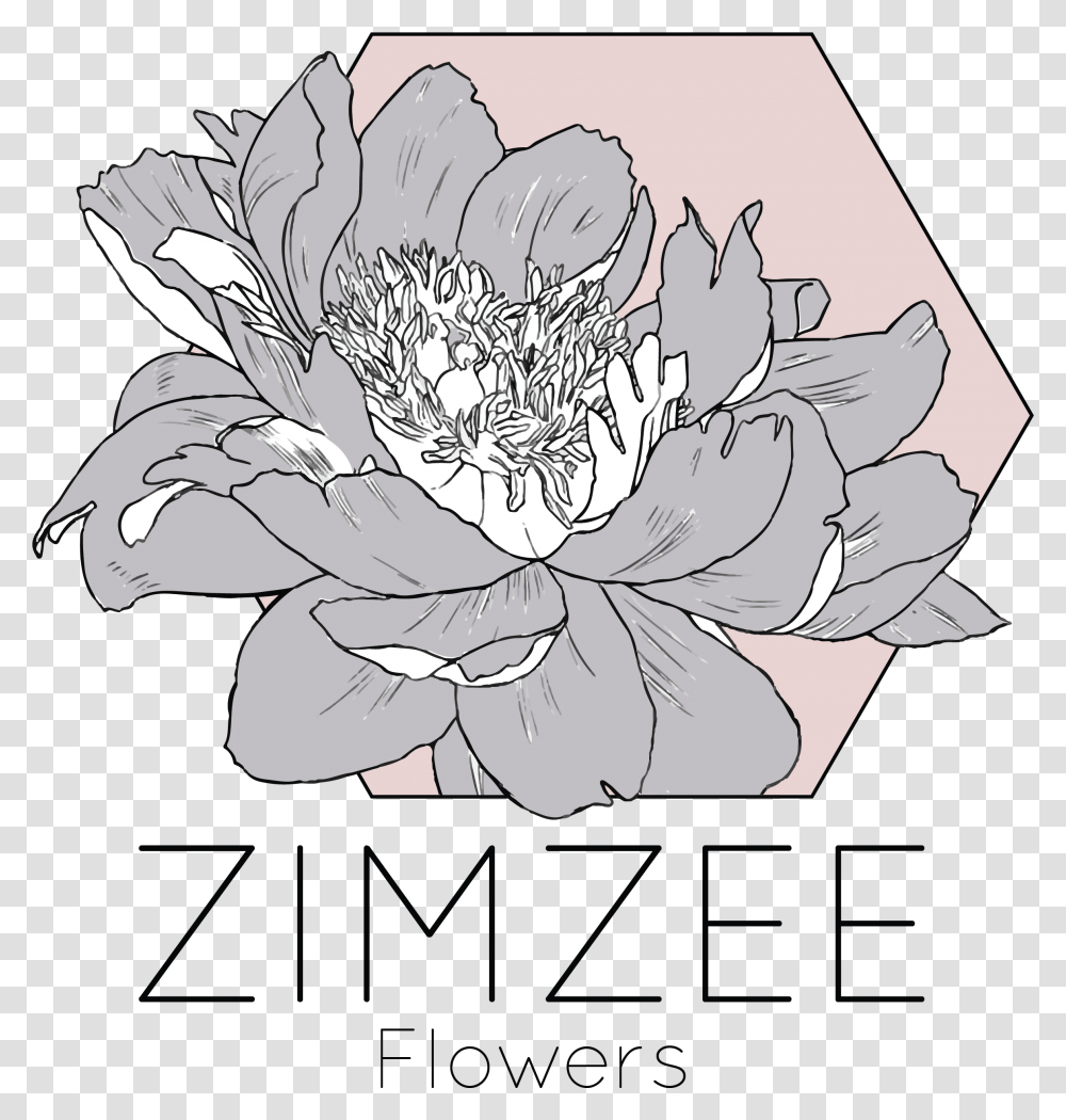 Zimzee - Flowers Chrysanths, Plant, Blossom, Floral Design, Pattern Transparent Png