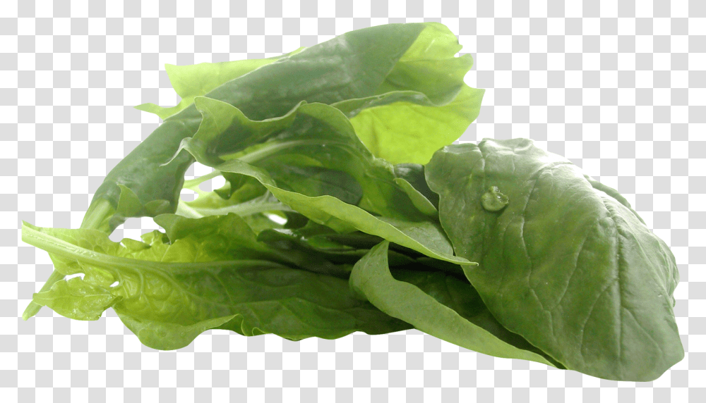 Zinc Vegan, Plant, Spinach, Vegetable, Food Transparent Png
