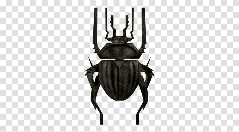 Zip Archive Longhorn Beetle, Animal, Insect, Invertebrate, Dung Beetle Transparent Png