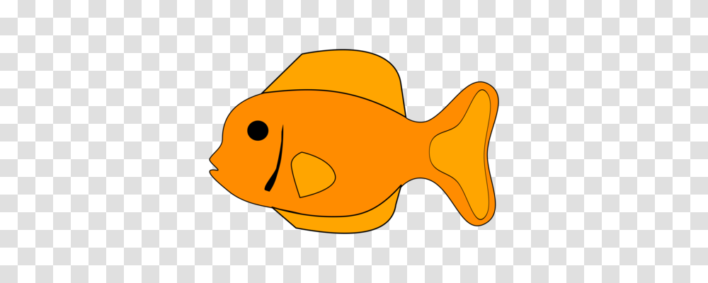 Zipper Cartoon Computer Icons, Fish, Animal, Goldfish, Rock Beauty Transparent Png
