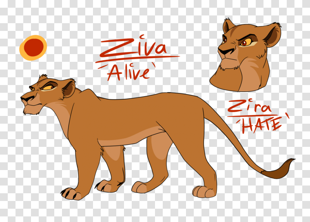 Zira, Animal, Wildlife, Mammal, Coyote Transparent Png