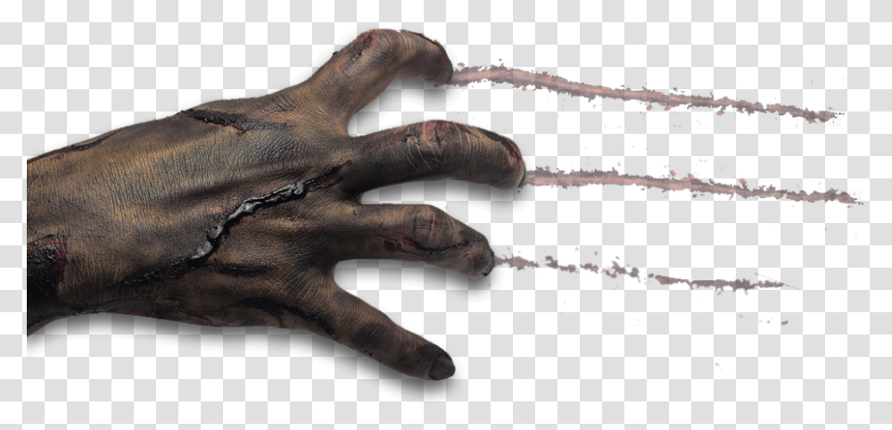 Zombie Background Background Zombie Hands, Finger Transparent Png