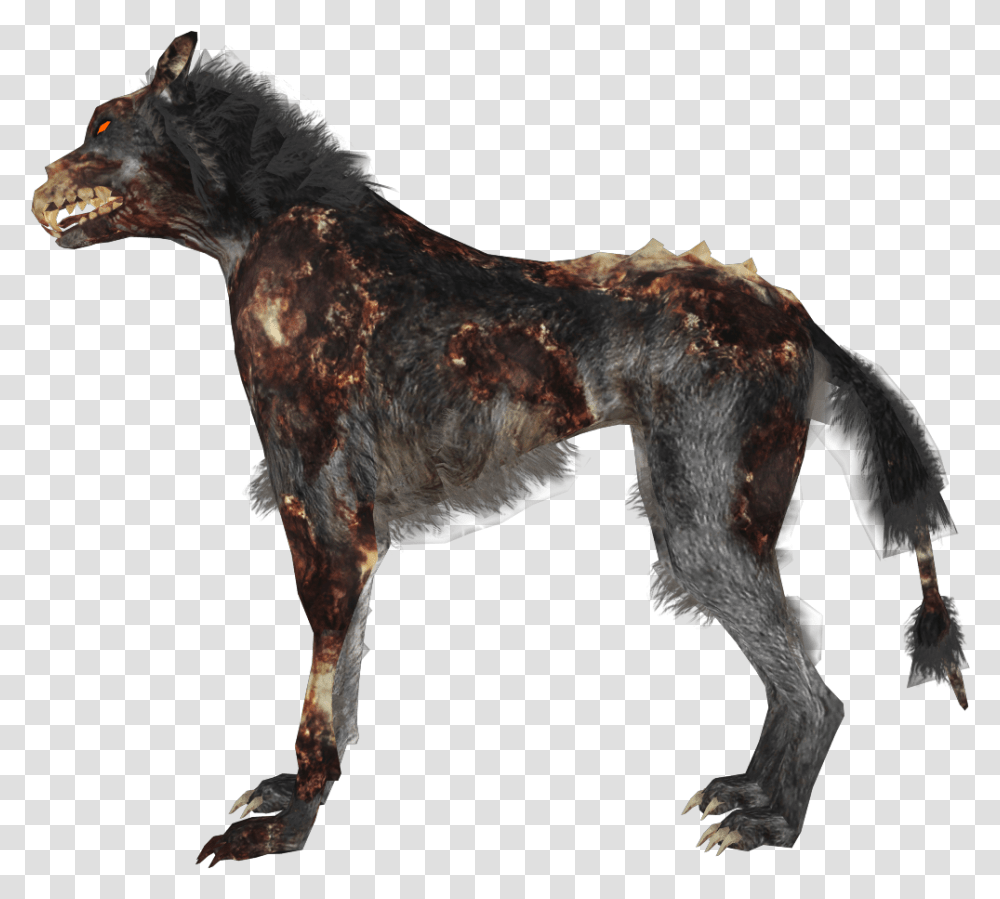 Zombie Dog Zombie Dog, Coyote, Mammal, Animal, Bird Transparent Png