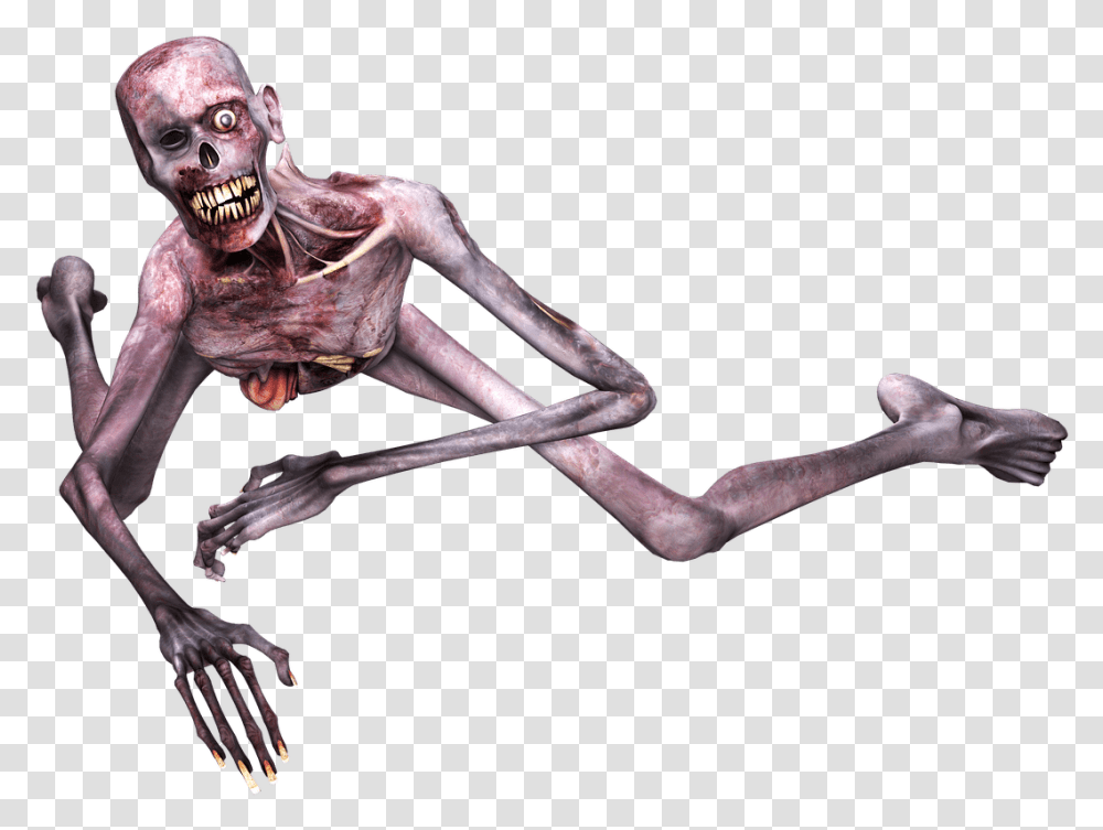 Zombie Fallen Zombie, Person, Alien, Animal, Leisure Activities Transparent Png