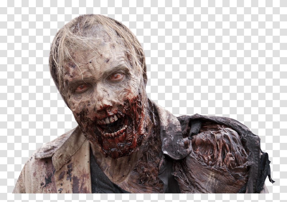 Zombie, Fantasy, Head, Person, Human Transparent Png