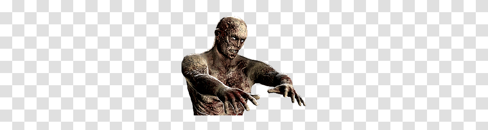 Zombie, Fantasy, Mammal, Animal, Wildlife Transparent Png