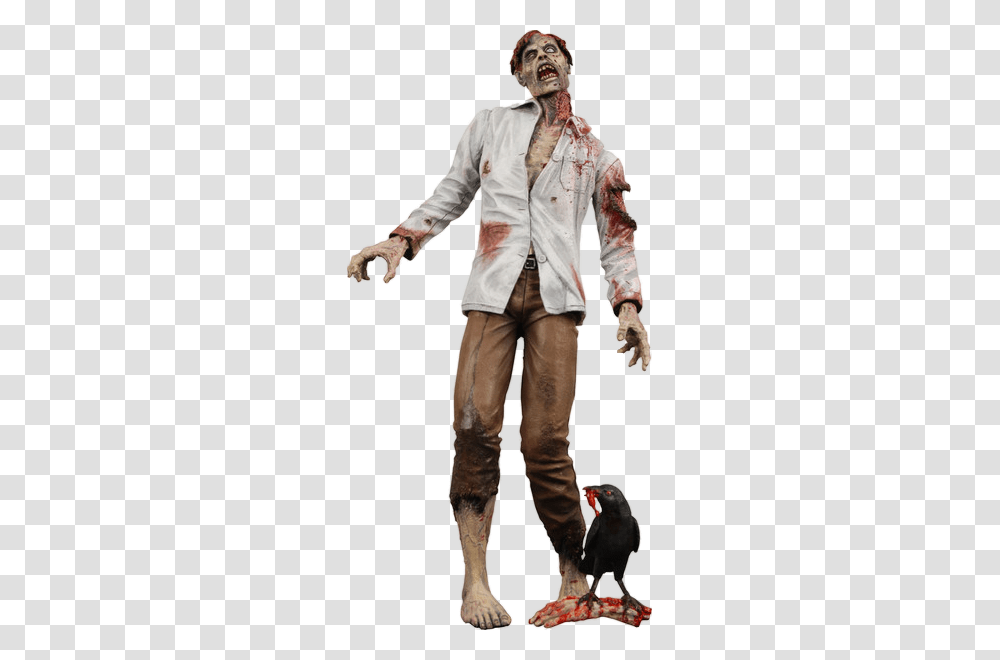 Zombie, Fantasy, Person, Bird Transparent Png