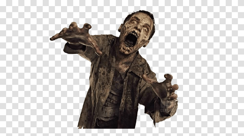 Zombie, Fantasy, Person, Face, Hand Transparent Png