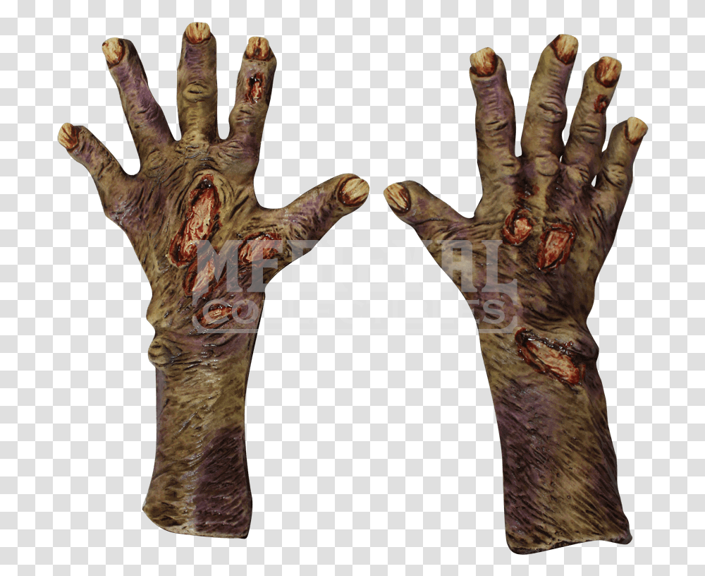 Zombie Hand Image Zombie Gloves, Person, Human, Finger, Hook Transparent Png