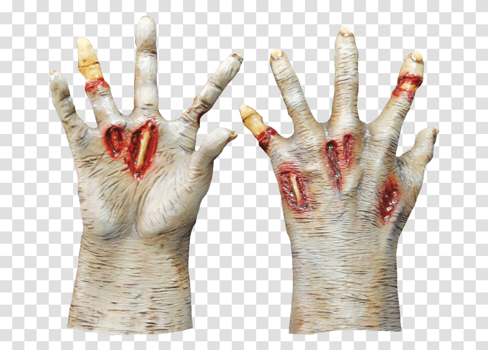 Zombie Missing Finger, Hand, Bird, Animal, Person Transparent Png