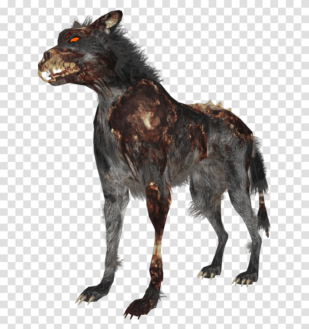 Zombie Wolf Zps4bf8a59d Black Ops 1 Hellhounds, Animal, Mammal, Horse, Antelope Transparent Png