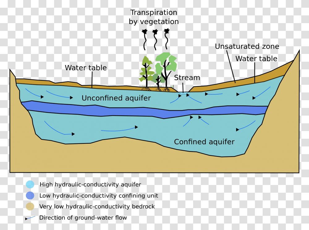 Zone Shows The Water Table, Plant, Vegetation, Plot, Rainforest Transparent Png