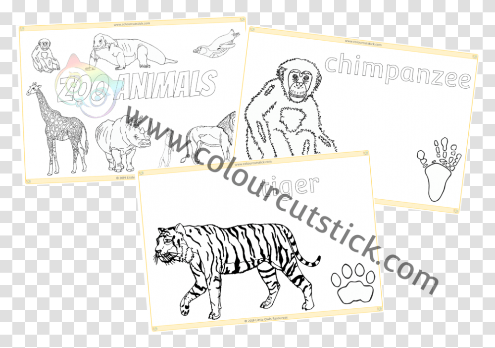 Zoo Animal Colouring Cover Cartoon, Tiger, Wildlife, Mammal Transparent Png