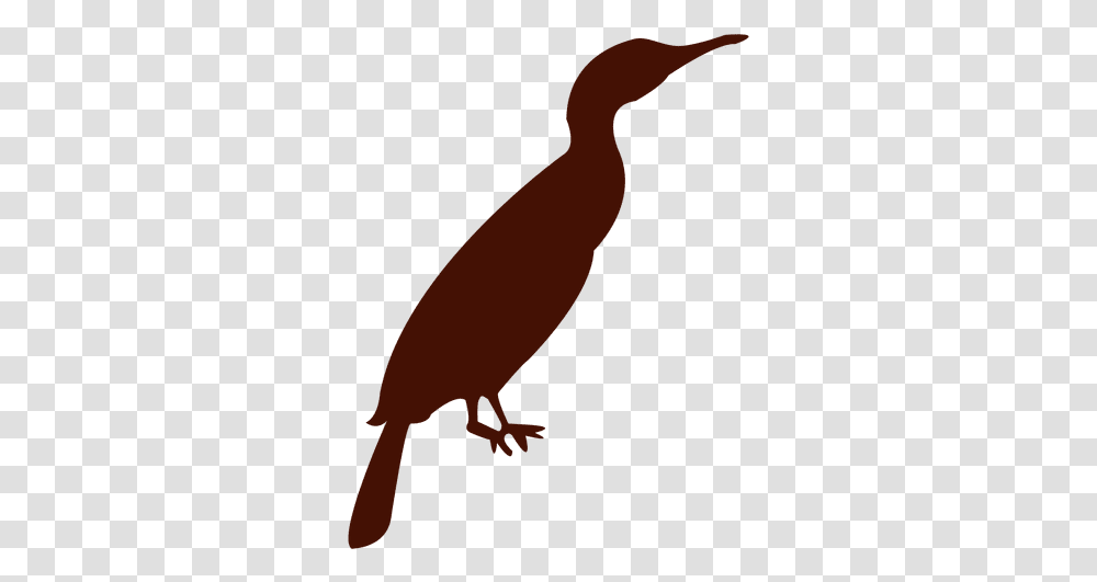 Zoo Bird Silhouette & Svg Vector File Penguin, Animal, Mammal Transparent Png