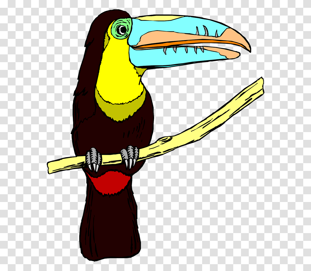 Zoo Clip Art, Beak, Bird, Animal, Toucan Transparent Png