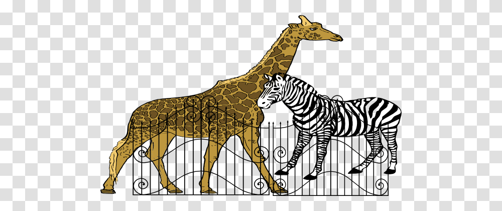 Zoo Clip Art, Wildlife, Animal, Mammal, Zebra Transparent Png