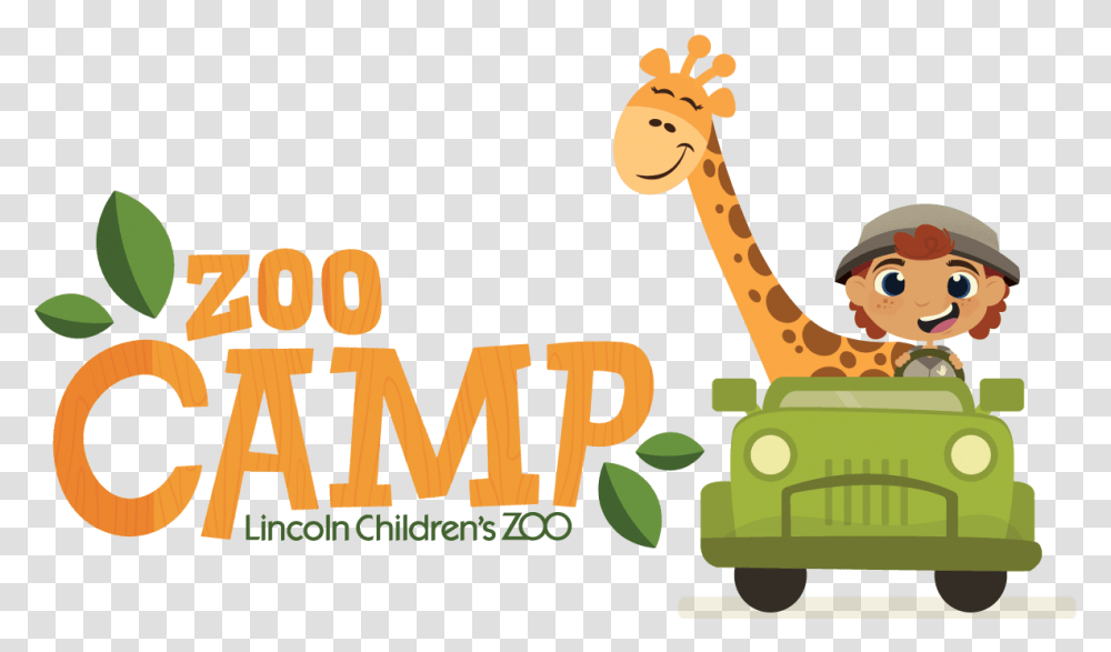 Zoo, Mammal, Animal, Giraffe, Wildlife Transparent Png