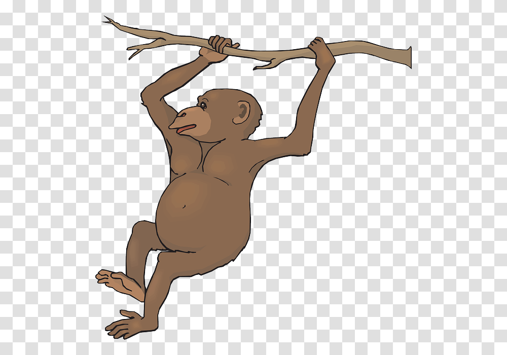 Zoo Monkey Cliparts, Silhouette Transparent Png