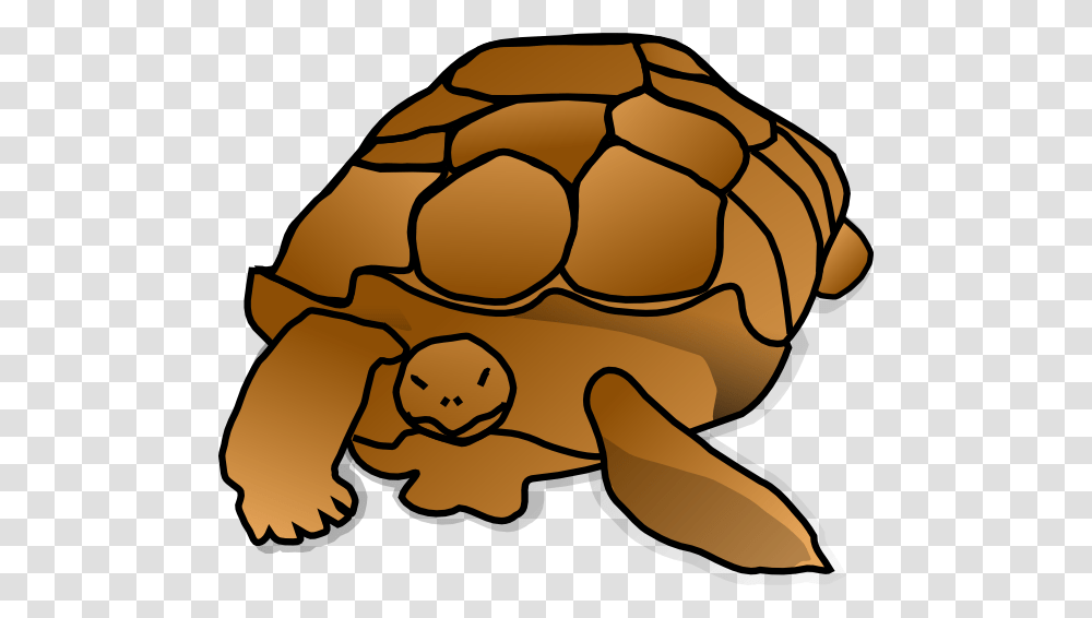 Zoo Sea Turtle Clipart Explore Pictures, Food, Sea Life, Animal, Seafood Transparent Png