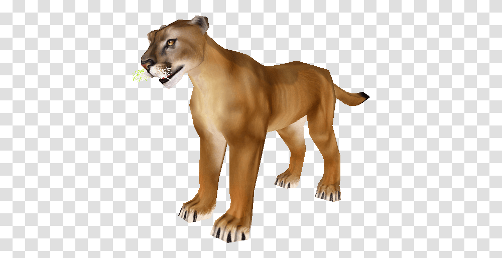 Zoo Tycoon 2 Animal Figure, Dog, Pet, Canine, Mammal Transparent Png