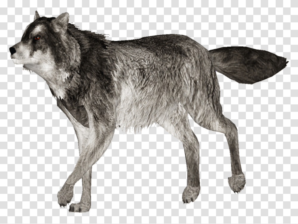 Zoo Tycoon 2 Gray Wolf, Mammal, Animal, Dog, Pet Transparent Png