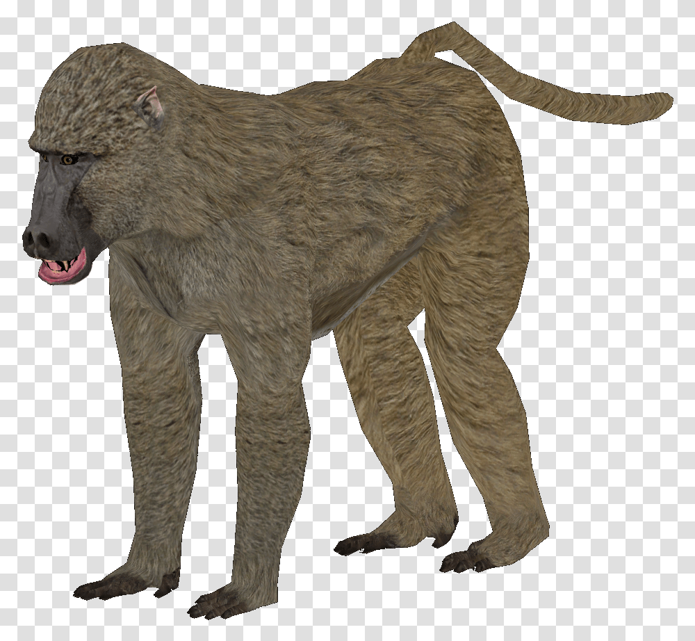 Zoo Tycoon 2 Olive Baboon, Elephant, Wildlife, Mammal, Animal Transparent Png